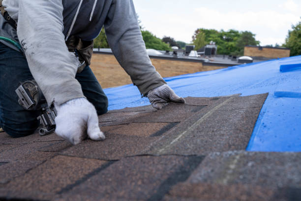Best Affordable Roofing Company  in Louisburg, KS