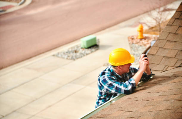 Best Roof Gutter Cleaning  in Louisburg, KS