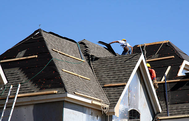 Best Roofing Contractor Near Me  in Louisburg, KS
