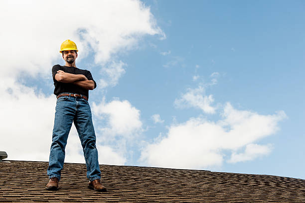 Best Roof Gutter Cleaning  in Louisburg, KS